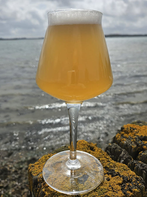 Adventurer - American Pale Ale - 4.2% ABV (440ml Can)