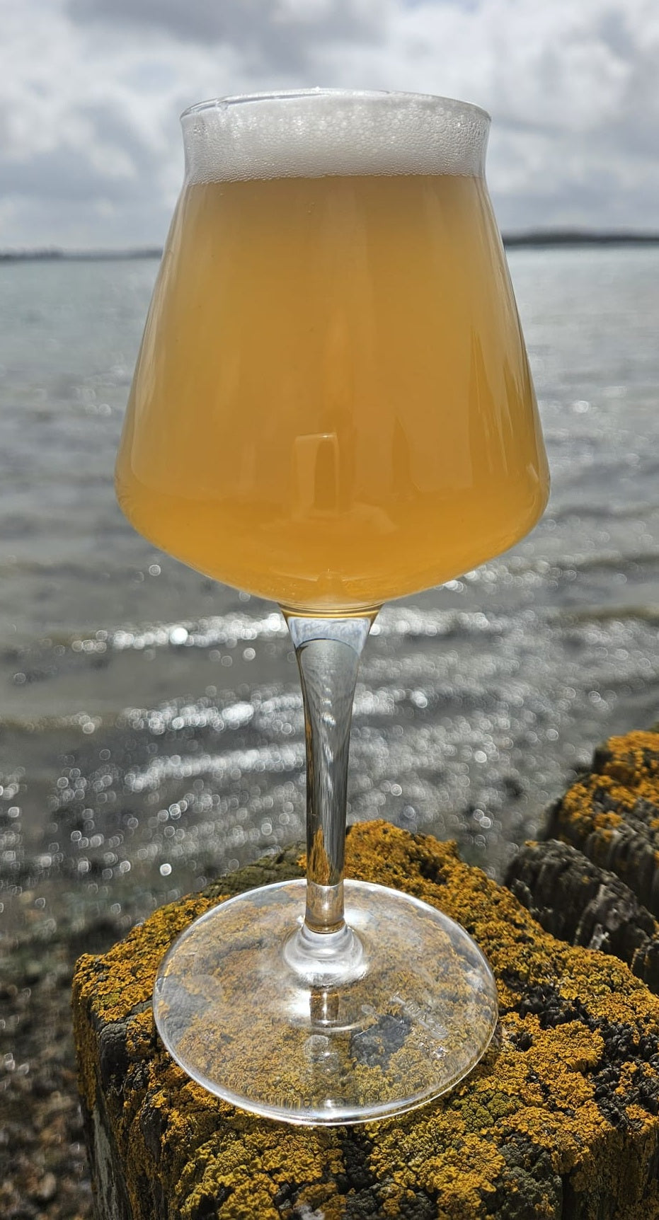 Adventurer - American Pale Ale - 4.2% ABV (440ml Can)