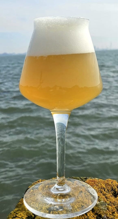 NERD - New England IPA - 5.2% ABV (440ml Can)