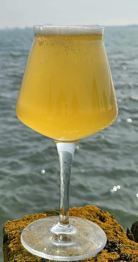 Paladin - Modern Lager - 4.3% ABV (440ml Can)