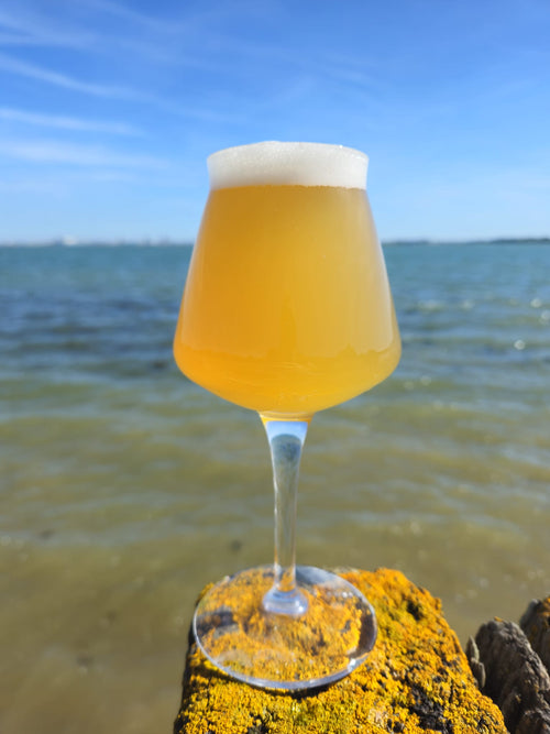 Waka Waka - New Zealand Pale Ale - 4.4% ABV (440ml Can)